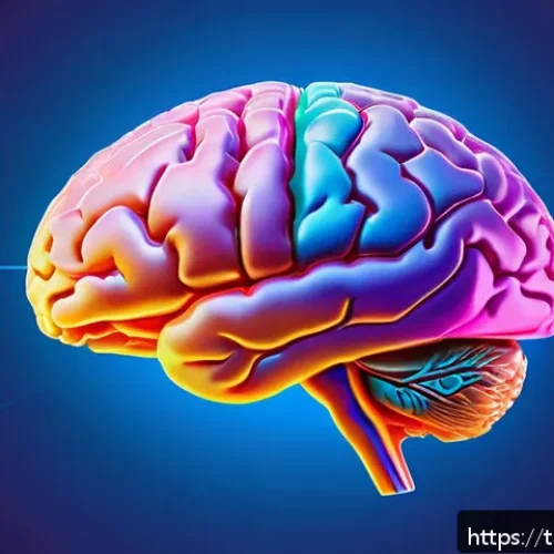 Home 33 언어와 인지과학 - A detailed and realistic illustration of a human brain highlighting Broca’s area and Wernicke’s area...