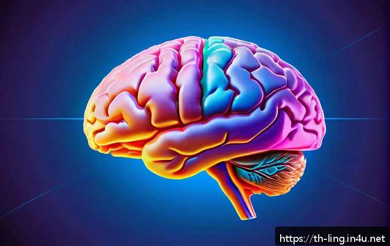 언어와 인지과학 - A detailed and realistic illustration of a human brain highlighting Broca&rsquo;s area and Wernicke&rsquo;s area...